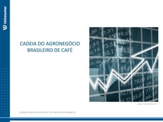 CADEIA DO AGRONEGÓCIO
BRASILEIRO DE CAFÉ
I
Imagem: https://pixabay.com/
CADEIAS PRODUTIVAS DO CAFÉ E DE PRODUTOS ORGÂNICOS
 