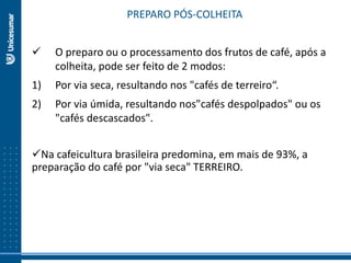 PREPARO PÓS-COLHEITA
 O preparo ou o processamento dos frutos de café, após a
colheita, pode ser feito de 2 modos:
1) Por via seca, resultando nos "cafés de terreiro“.
2) Por via úmida, resultando nos"cafés despolpados" ou os
"cafés descascados".
Na cafeicultura brasileira predomina, em mais de 93%, a
preparação do café por "via seca" TERREIRO.
 