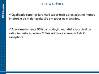 COFFEA ARÁBICA
Qualidade superior (aroma é sabor mais apreciados no mundo
inteiro), e de maior aceitação em todos os mercados.
Aproximadamente 96% da produção mundial exportável de
café são desta espécie – Coffea arábica e apenas 6% de C.
canephora.
 