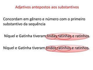 Adjetivos antepostos aos substantivos

Concordam em gênero e número com o primeiro
substantivo da sequência

Níquel e Gatinha tiveram lindas ratinhas e ratinhos.

Níquel e Gatinha tiveram lindos ratinhos e ratinhos.
 