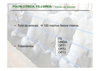 POLPA CÍTRICA: FS x URÉIA – (Carareto, não   publicado)




 • Total de animais  100 machos Nelore inteiros



                                   FS
                                   URÉIA
 • Tratamentos                     OPT1
                                   OPT2
                                   OPT3
 
