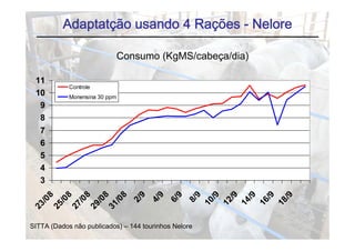 Adaptatção usando 4 Rações - Nelore

                               Consumo (KgMS/cabeça/dia)

 11
            Controle
 10         Monensina 30 ppm
  9
  8
   7
   6
   5
   4
   3


                                                         /9

                                                         /9

                                                         /9

                                                         /9

                                                         /9
      8

      8

      8

      8

      8

                                    9

                                           9

                                                  9

                                                          9
                                 2/

                                        4/

                                               6/

                                                       8/
   /0

   /0

   /0

   /0

   /0




                                                      10

                                                      12

                                                      14

                                                      16

                                                      18
23

25

27

29

31




SITTA (Dados não publicados) – 144 tourinhos Nelore
 