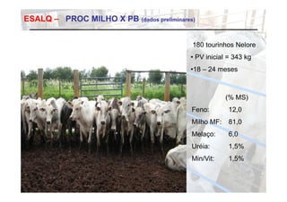ESALQ – PROC MILHO X PB (dados preliminares)


                                           180 tourinhos Nelore
                                          • PV i i i l = 343 k
                                               inicial       kg
                                          •18 – 24 meses



                                                       (
                                                       (% MS)
                                                            )
                                           Feno:       12,0
                                           Milho MF:   81,0
                                           Melaço:     6,0
                                           Uréia:      1,5%
                                                       1 5%
                                           Min/Vit:    1,5%
 