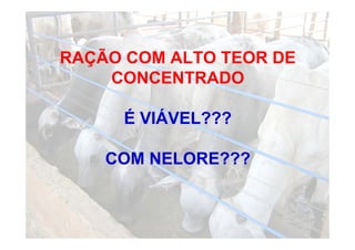 RAÇÃO COM ALTO TEOR DE
    CONCENTRADO

     É VIÁVEL???

    COM NELORE???
 