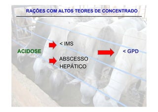 RAÇÕES COM ALTOS TEORES DE CONCENTRADO




             < IMS
ACIDOSE                           < GPD
             ABSCESSO
             HEPÁTICO
 