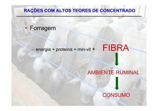 RAÇÕES COM ALTOS TEORES DE CONCENTRADO



• Forragem
       g


  – energia + proteína + min-vit +   FIBRA

                              AMBIENTE RUMINAL



                                     CONSUMO
 