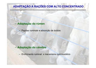 ADAPTAÇÃO À RAÇÕES COM ALTO CONCENTRADO




– Adaptação do rúmen

   – Papilas ruminais e absorção de ácidos




– Adaptação do cérebro

   – Enchimento ruminal x mecanismo quimiostático
 