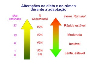 Alterações na dieta e no rúmen
                 durante a adaptação
                               p ç
  dias               %             Ferm. Ruminal
confinado        Concentrado

   22               90%            Rápida estável


   15               80%              Moderada
                                     M d d

   8                65%
                                      Instável

   1                50%
                      0%
                     0%            Lenta, estável
   0
 