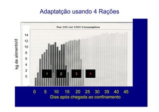 Adaptatção usando 4 Rações


14
12
10
8
6
4
2
           1       2     3     4
0



     0    5     10 15 20 25 30 35 40 45
               Dias após chegada ao confinamento
 