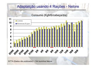 Adaptatção usando 4 Rações - Nelore

                           Consumo (KgMS/cabeça/dia)




SITTA (Dados não publicados) – 144 tourinhos Nelore
 