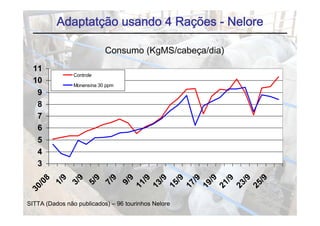 Adaptatção usando 4 Rações - Nelore

                            Consumo (KgMS/cabeça/dia)
  11
                Controle
  10            Monensina 30 ppm
                             pp
   9
   8
   7
   6
   5
   4
   3
          9

                9

                       9

                             9

                                   9
                                         /9

                                              /9

                                                     /9

                                                          /9

                                                               /9

                                                                    /9

                                                                         /9

                                                                              /9
    8
        1/

              3/

                     5/

                           7/

                                   9/
  /0




                                        11

                                             13

                                                  15

                                                       17

                                                            19

                                                                 21

                                                                      23

                                                                           25
30




SITTA (Dados não publicados) – 96 tourinhos Nelore
 