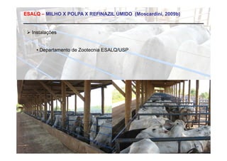 ESALQ – MILHO X POLPA X REFINAZIL ÚMIDO (Moscardini, 2009b)


  Instalações


     • Departamento de Zootecnia ESALQ/USP
 