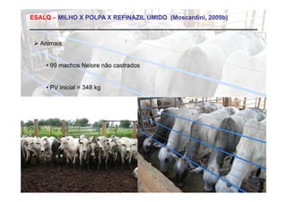 ESALQ – MILHO X POLPA X REFINAZIL ÚMIDO (Moscardini, 2009b)



  Animais


    • 99 machos Nelore não castrados


    • PV inicial = 348 kg
 