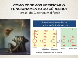 COMO PODEMOS VERIFICAR O
FUNCIONAMENTO DO CÉREBRO? 
P-cresol do Clostridium dificcile 
 