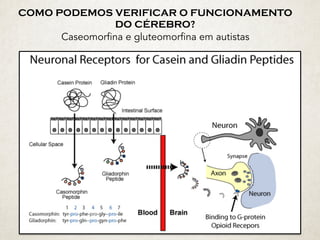 COMO PODEMOS VERIFICAR O FUNCIONAMENTO
DO CÉREBRO? 
Caseomorfina e gluteomorfina em autistas
 