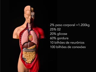 2% peso corporal =1.200kg
25% 02
20% glicose
60% gordura
10 bilhões de neurônios
100 bilhões de conexões
 