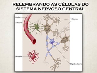 RELEMBRANDO AS CÉLULAS DO
SISTEMA NERVOSO CENTRAL
 