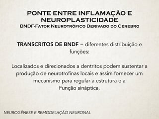 PONTE ENTRE INFLAMAÇÃO E
NEUROPLASTICIDADE 
BNDF-Fator Neurotrófico Derivado do Cérebro
TRANSCRITOS DE BNDF = diferentes distribuição e
funções:
Localizados e direcionados a dentritos podem sustentar a
produção de neurotrofinas locais e assim fornecer um
mecanismo para regular a estrutura e a
Função sináptica.
NEUROGÊNESE E REMODELAÇÃO NEURONAL
 
