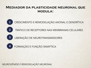 Mediador da plasticidade neuronal que
modula:
NEUROGÊNESE E REMODELAÇÃO NEURONAL
CRESCIMENTO E REMODELAÇÃO AXONAL E DENDRÍTICA1
2
3
4
TRÁFICO DE RECEPTORES NAS MEMBRANAS CELULARES
LIBERAÇÃO DE NEUROTRANSMISSORES
FORMAÇÃO E FUNÇÃO SINÁPTICA
 