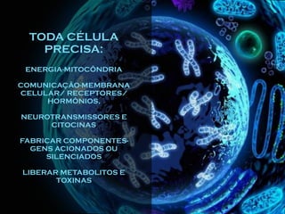 TODA CÉLULA
PRECISA:
ENERGIA-MITOCÔNDRIA
COMUNICAÇÃO-MEMBRANA
CELULAR/ RECEPTORES/
HORMÔNIOS,
NEUROTRANSMISSORES E
CITOCINAS
FABRICAR COMPONENTES-
GENS ACIONADOS OU
SILENCIADOS
LIBERAR METABOLITOS E
TOXINAS
 