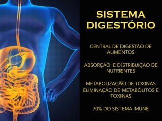 SISTEMA
DIGESTÓRIO
CENTRAL DE DIGESTÃO DE
ALIMENTOS 
ABSORÇÃO E DISTRIBUIÇÃO DE
NUTRIENTES 
METABOLIZAÇÃO DE TOXINAS
ELIMINAÇÃO DE METABÓLITOS E
TOXINAS 
70% DO SISTEMA IMUNE
 