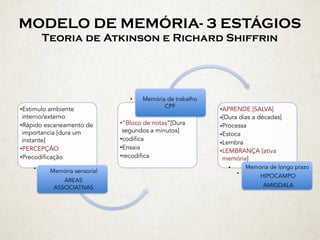 MODELO DE MEMÓRIA- 3 ESTÁGIOS 
Teoria de Atkinson e Richard Shiffrin
•Estimulo ambiente
interno/externo
•Rápido escaneamento de
importancia [dura um
instante]
•PERCEPÇÃO
•Precodificação
• Memória sensorial 
ÁREAS
ASSOCIATIVAS
•“Bloco de notas”[Dura
segundos a minutos]
•codifica
•Ensaia
•recodifica
• Memória de trabalho 
CPF
•APRENDE [SALVA]
•[Dura dias a décadas]
•Processa
•Estoca
•Lembra
•LEMBRANÇA [ativa
memória]
• Memória de longo prazo 
• HIPOCAMPO 
AMIGDALA
 