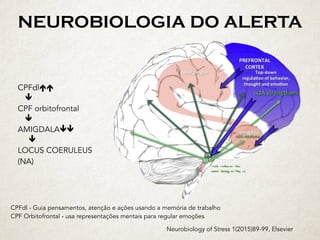 NEUROBIOLOGIA DO ALERTA
Neurobiology of Stress 1(2015)89-99, Elsevier
CPFdléé	
				ê	
CPF orbitofrontal
				ê	
AMIGDALAêê	
						ê	
LOCUS COERULEUS
(NA)
CPFdl - Guia pensamentos, atenção e ações usando a memória de trabalho
CPF Orbitofrontal - usa representações mentais para regular emoções
 