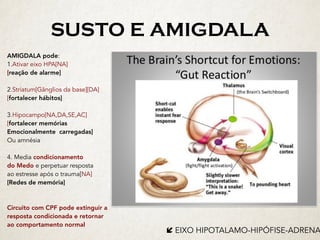 SUSTO E AMIGDALA
í	EIXO HIPOTALAMO-HIPÓFISE-ADRENA
AMIGDALA pode:
1.Ativar eixo HPA[NA]
[reação de alarme]
2.Striatum[Gânglios da base][DA]
[fortalecer hábitos]
3.Hipocampo[NA,DA,SE,AC]
[fortalecer memórias
Emocionalmente carregadas]
Ou amnésia
4. Media condicionamento
do Medo e perpetuar resposta
ao estresse após o trauma[NA]
[Redes de memória]
Circuito com CPF pode extinguir a
resposta condicionada e retornar
ao comportamento normal
 
