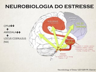 NEUROBIOLOGIA DO ESTRESSE
Neurobiology of Stress 1(2015)89-99, Elsevier
CPFdlêê	
					é	
AMIGDALAéé	
					é	
LOCUS COERULEUS
[NA]
 