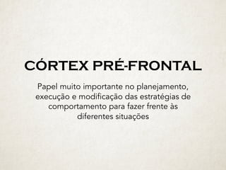 CÓRTEX PRÉ-FRONTAL
Papel muito importante no planejamento,
execução e modificação das estratégias de
comportamento para fazer frente às
diferentes situações
 