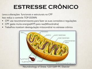 ESTRESSE CRÔNICO
Leva a alterações funcionais e estruturais no CPF
Isso reduz o controle TOP-DOWN
• CPF usa neurotransmissores para fazer as suas conexões e regulações
• CPF gasta muita energia(ATP) para isso[Mitocôndria]
• Trabalhos mostram desregulação mitocondrial no estresse crônico
Neurobiology of Stress 1(2015)89-99, Elsevier
 