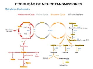 PRODUÇÃO DE NEUROTANSMISSORES
 