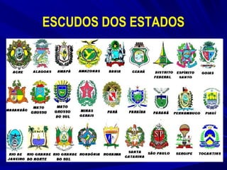 ESCUDOS DOS ESTADOS

 