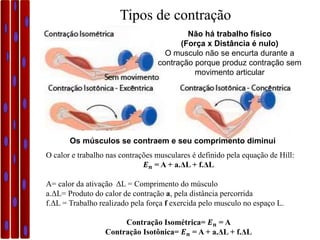 Aula Biofísica da contração muscular | PPTX
