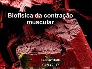 Biofísica da contração
muscular
Larisse Dalla
Ceres 2017
 