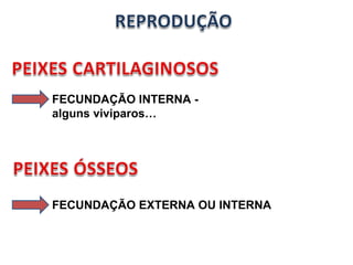 FECUNDAÇÃO INTERNA - 
alguns viviparos… 
FECUNDAÇÃO EXTERNA OU INTERNA 
 