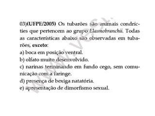 Aulacordados 111101114744-phpapp01