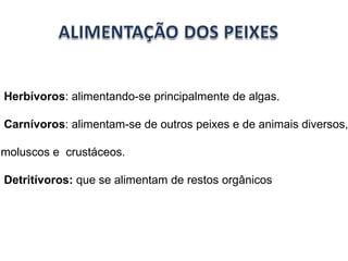 Herbívoros : alimentando-se principalmente de algas.  Carnívoros : alimentam-se de outros peixes e de animais diversos,  como moluscos e  crustáceos. Detritívoros:  que se alimentam de restos orgânicos 