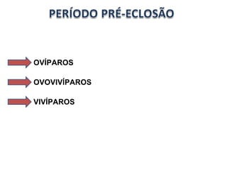 OVÍPAROS VIVÍPAROS OVOVIVÍPAROS 