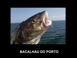 BACALHAU DO PORTO 