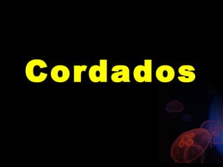Cordados
 