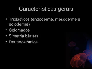 Características gerais
• Triblasticos (endoderme, mesoderme e
  ectoderme)
• Celomados
• Simetria bilateral
• Deuterostômios
 