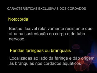 CARACTERÍSTICAS EXCLUSIVAS DOS CORDADOS


Notocorda

Bastão flexível relativamente resistente que
atua na sustentação do corpo e do tubo
nervoso.

 Fendas faríngeas ou branquiais
 Localizadas ao lado da faringe e dão origem
 às brânquias nos cordados aquáticos
 