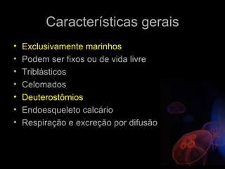 Características gerais
•   Exclusivamente marinhos
•   Podem ser fixos ou de vida livre
•   Triblásticos
•   Celomados
•   Deuterostômios
•   Endoesqueleto calcário
•   Respiração e excreção por difusão
 