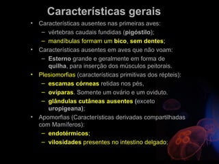 Características gerais
•   Características ausentes nas primeiras aves:
     – vértebras caudais fundidas (pigóstilo);
     – mandíbulas formam um bico, sem dentes;
•   Características ausentes em aves que não voam:
     – Esterno grande e geralmente em forma de
       quilha, para inserção dos músculos peitorais.
•   Plesiomorfias (características primitivas dos répteis):
     – escamas córneas retidas nos pés,
     – ovíparas. Somente um ovário e um oviduto.
     – glândulas cutâneas ausentes (exceto
       uropigeana);
•   Apomorfias (Características derivadas compartilhadas
    com Mamíferos):
     – endotérmicos;
     – vilosidades presentes no intestino delgado;
 