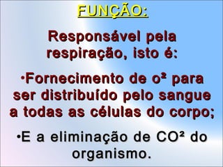 FUNÇÃO:
Responsável pela
respiração, isto é:
•Fornecimento de o² para
ser distribuído pelo sangue
a todas as células do corpo;
•E a eliminação de CO² do
organismo.

 