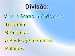 Divisão:
Vias aéreas inferiores:
•Traquéia
•Brônquios
•Alvéolos pulmonares
•Pulmões

 