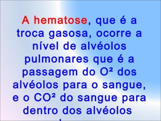 A hematose, que é a
troca gasosa, ocorre a
nível de alvéolos
pulmonares que é a
passagem do O² dos
alvéolos para o sangue,
e o CO² do sangue para
dentro dos alvéolos

 