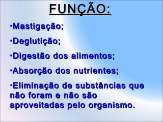 FUNÇÃO:
•Mastigação;
•Deglutição;
•Digestão dos alimentos;
•Absorção dos nutrientes;
•Eliminação de substâncias que
não foram e não são
aproveitadas pelo organismo.

 