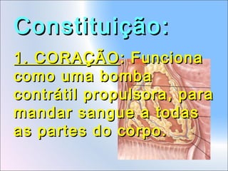 Constituição:
1. CORAÇÃO : Funciona
como uma bomba
contrátil propulsora, para
mandar sangue a todas
as partes do corpo.

 